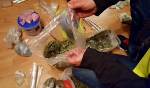 Bydgoscy policjanci zabezpieczyli ponad 2,5 kg narkotyków #3
