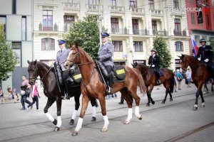 parada koni policyjnych