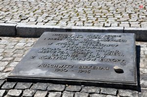 Projekt edukacyjny „Auschwitz – Historia – Edukacja&quot;