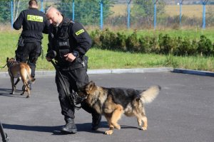 Pluton Przewodników Psów Służbowych Komendy Wojewódzkiej Policji w Poznaniu