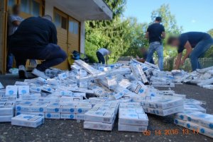 Setki tysięcy nielegalnych papierosów ukrytych w transporcie trzciny