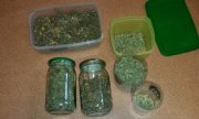 Policjanci z Golubia-Dobrzynia przejęli 2,6 kg marihuany