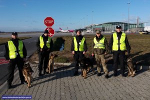 Wspólne szkolenie przewodników psów specjalnych