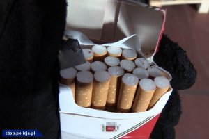 25 milionów papierosów nie trafi na rynek – policjanci CBŚP i KAS zabezpieczyli nielegalny towar