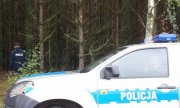 policyjny radiowóz stoi przed lasem