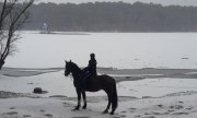 policjant na koniu patroluje teren przywodny