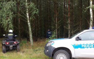 policjanci przeszukują las w poszukiwaniu zaginionej