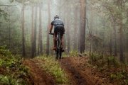 rowerzysta w lesie
