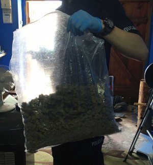Policjanci przechwycili blisko 5 kg narkotyków – tymczasowy areszt dla podejrzanego