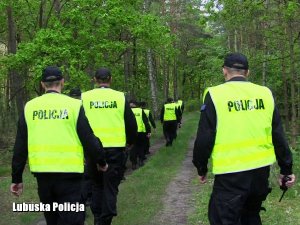 grupa policjantów w żółtych kamizelkach podczas poszukiwań w lesie