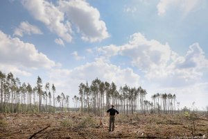Prezydent patrzy na  hektary lasu zniszczone przez nawałnicę, która przeszła w sierpniu 2017 roku w tym rejonie