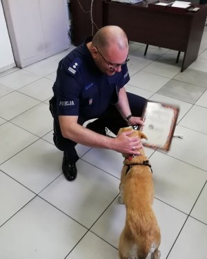 policjant z adoptowanym psiakiem