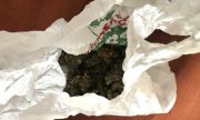 marihuana w torbie foliowej