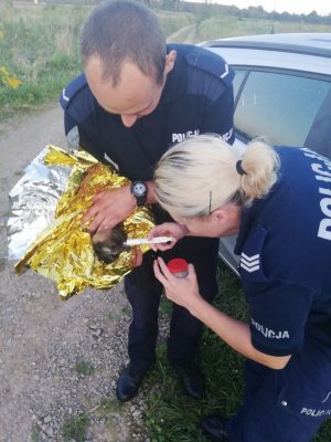 policjanci strzykawką karmią szczeniaczka otulonego folią