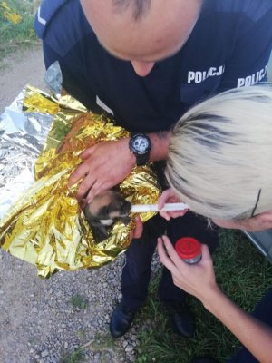 policjanci strzykawką karmią szczeniaczka otulonego folią