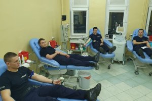 Czterech policjantów w trakcie oddawania krwi. Leżą na fotelach.