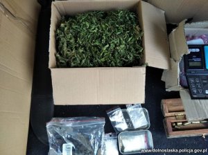 Na zdjęciu marihuana w kartonowym pudełku, woreczki strunowe i waga