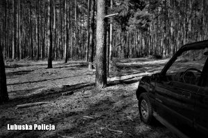 czarno-białe zdjęcie przedstawiające auto w lesie