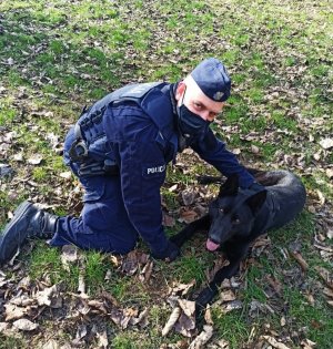 zdjęcie przedstawia policjanta z psem służbowym. Czarny owczarek niemiecki leży obok swojego przewodnika.