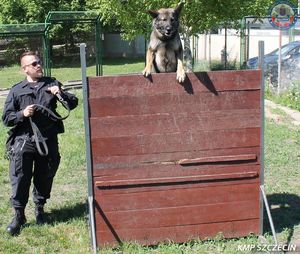 policjant z psem