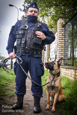 umundurowany policjant z psem służbowym