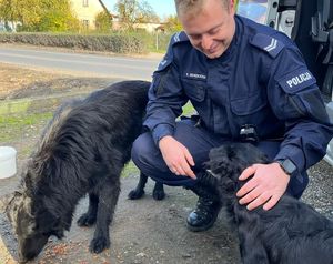 umundurowany policjant z dwoma uratowanymi psami