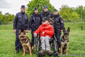 Wspólne zdjęcie Chłopaka na wózku inwalidzkim z przewodnikami psów oraz psami policyjnymi