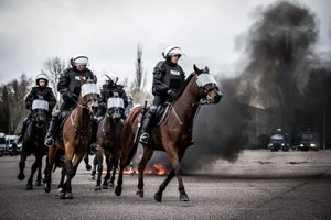 Policyjne konie.