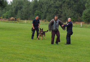 dwóch policjantów i pies służbowy podczas wykonywania zadania z mężczyzną ubranym w strój pozoranta