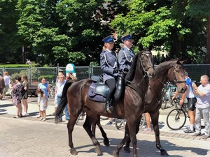 Zdjęcie kolorowe: patrol policyjny na koniach służbowych.