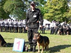 Mistrzostwa psów policyjnych - finał