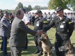 Mistrzostwa psów policyjnych - finał