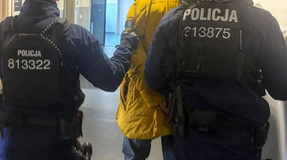 Dwaj policjanci prowadzą zatrzymanego - widok z tyłu.