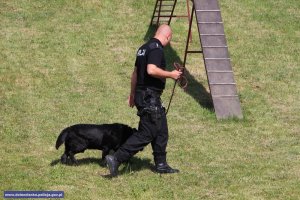 Kynologiczne zawody psów słuzbowych na Dolnym Śląsku #3