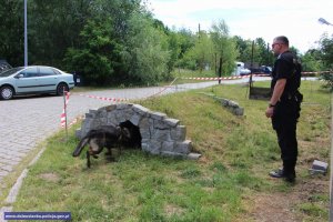 Kynologiczne zawody psów słuzbowych na Dolnym Śląsku #5