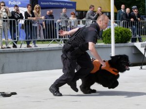 pokaz czworonożnego ratownika – policyjnego psa Rambo