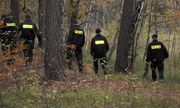 Poszukiwania prowadzone przez policjantów w lesie - zdjęcie poglądowe