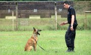Przewodnik podczas szkolenia psa służbowego