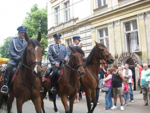 Policyjny koń i jego przewodnik
