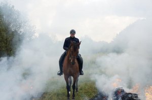 pokaz odwagi i wyszkolenia konia służbowego