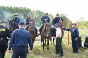 Brytyjski policjant i policyjni jeźdźcy na koniach
