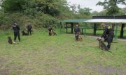 Policyjne psy służbowe pozytywnie przeszły atestacje