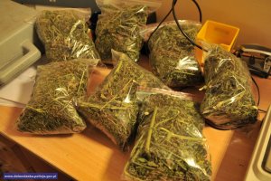 Zabezpieczonei ponad 3 kg marihuany #2
