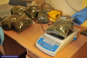 Zabezpieczonei ponad 3 kg marihuany #3