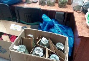 Ponad 8 kg marihuany zabezpieczone przez monieckich policjantów #3