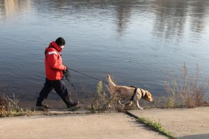 Policjant i pies przeszukują brzeg rzeki