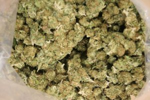 Policjanci zabezpieczyli ponad 5,5 kg marihuany #2