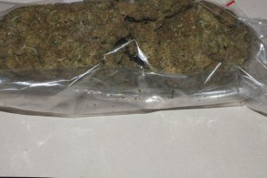Policjanci zabezpieczyli ponad 5,5 kg marihuany #4