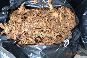 Małopolscy policjanci przechwycili ponad 2 tony krajanki tytoniowej #2