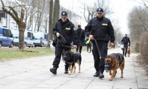 Policjanci z psami